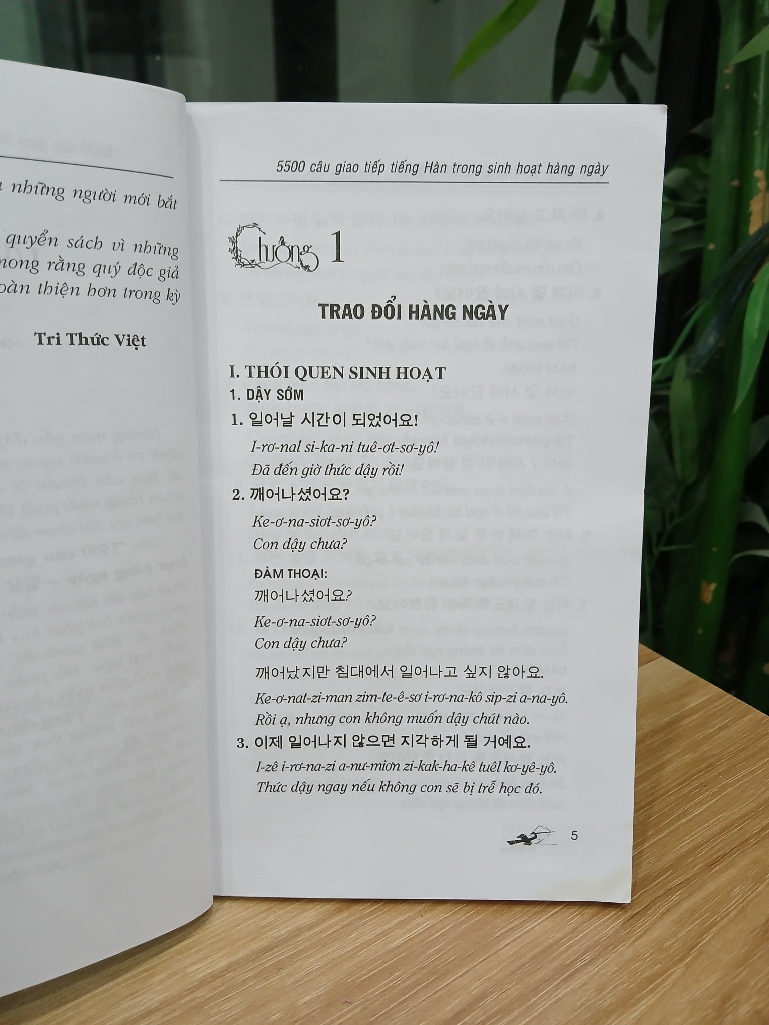 5500 câu giao tiếp tiếng Hàn trong sinh hoạt hằng ngày – Tri Thức Việt, Park Jung Woon