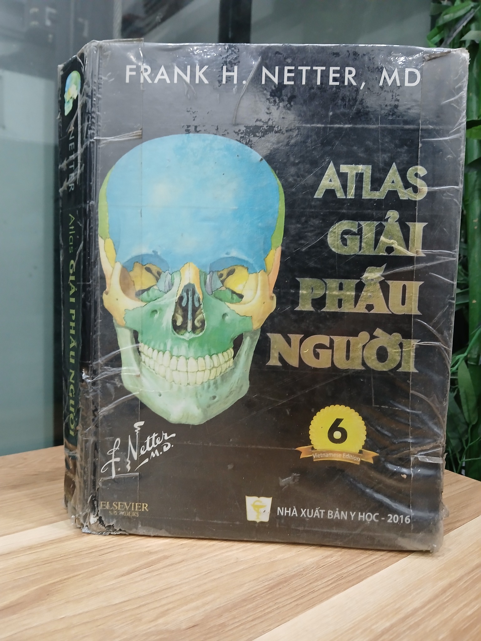 Atlas giải phẫu người – Frank H. Netter, MD