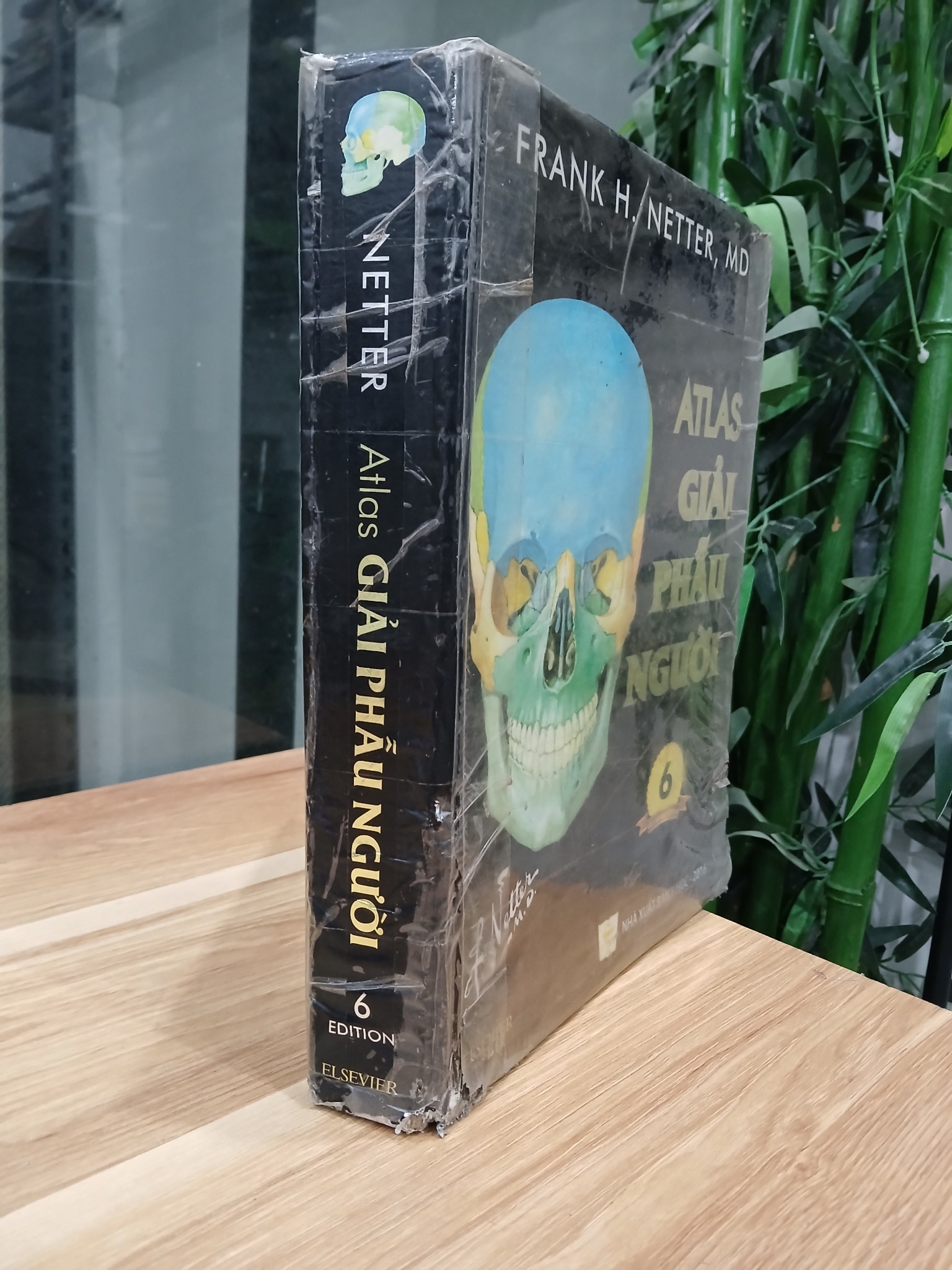 Atlas giải phẫu người – Frank H. Netter, MD