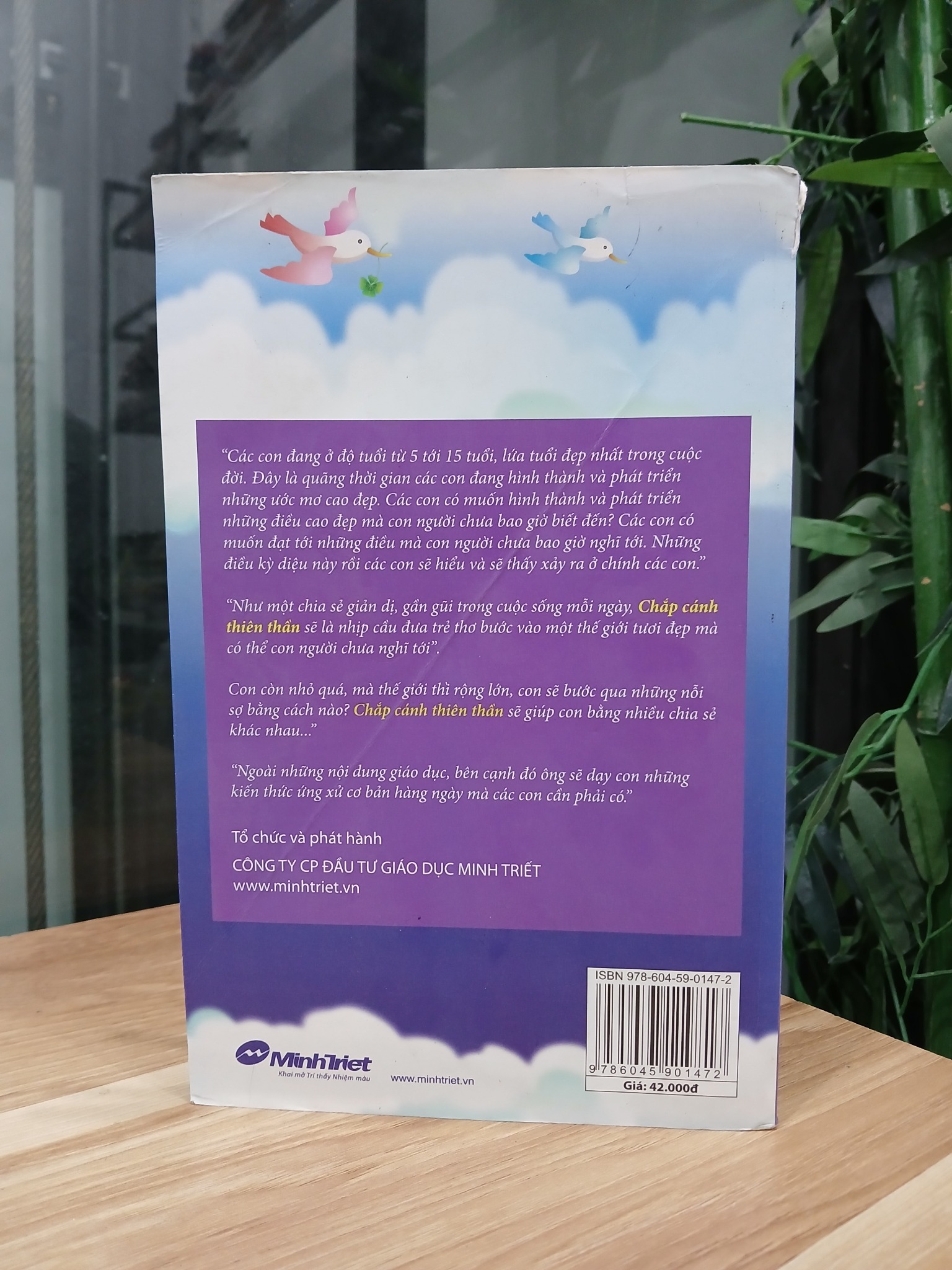 Chắp cánh thiên thần (Tập 2) – Duy Tuệ