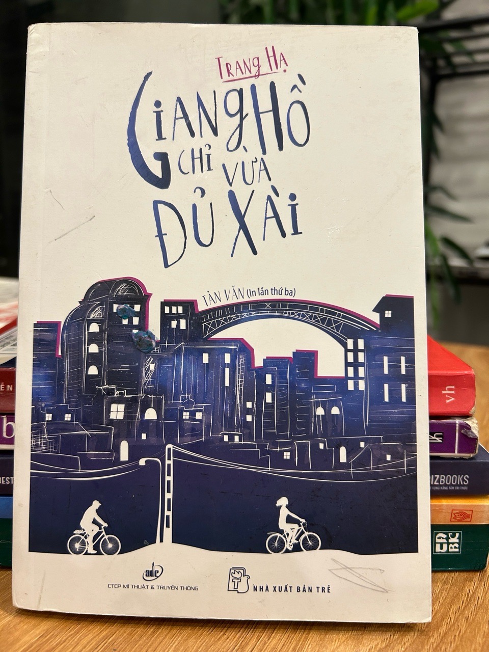 Giang hồ chỉ vừa đủ xài – Trang Hạ