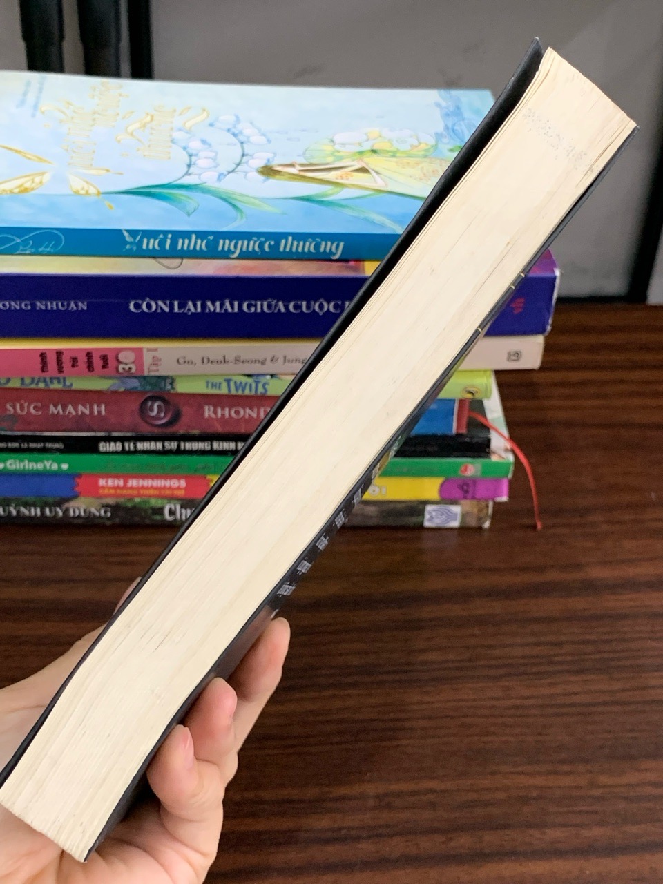 Trùm bất động sản ngách (Tập 1) — Trịnh Văn Mạnh