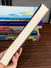 Trùm bất động sản ngách (Tập 1) — Trịnh Văn Mạnh - ảnh 5