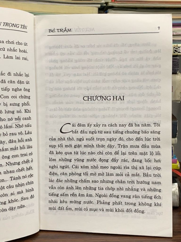 bè trầm – tác giả: Nguyễn Trọng Tín - Ảnh thực tế 4