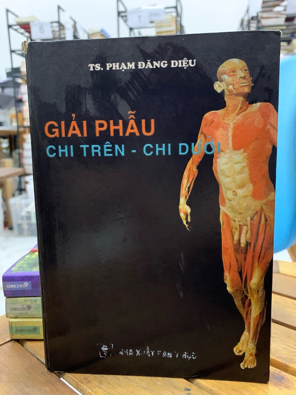 Giải phẫu chi trên- chi dưới -TS. Phạm Đăng Diệu