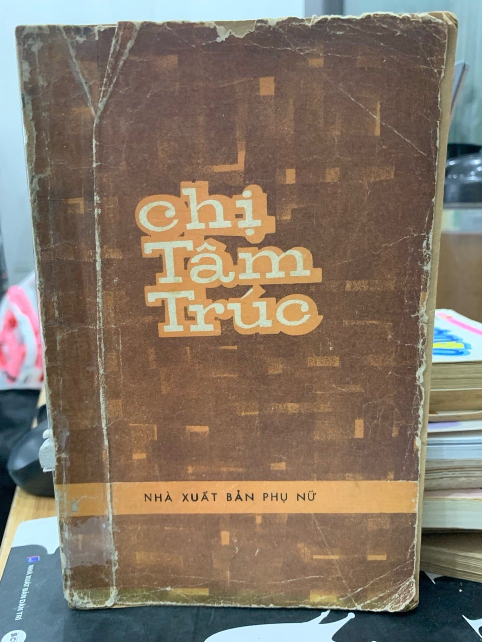 Tiểu thuyết Chị Tâm Trúc của nhà văn Nguyễn Thị Thụy Vũ