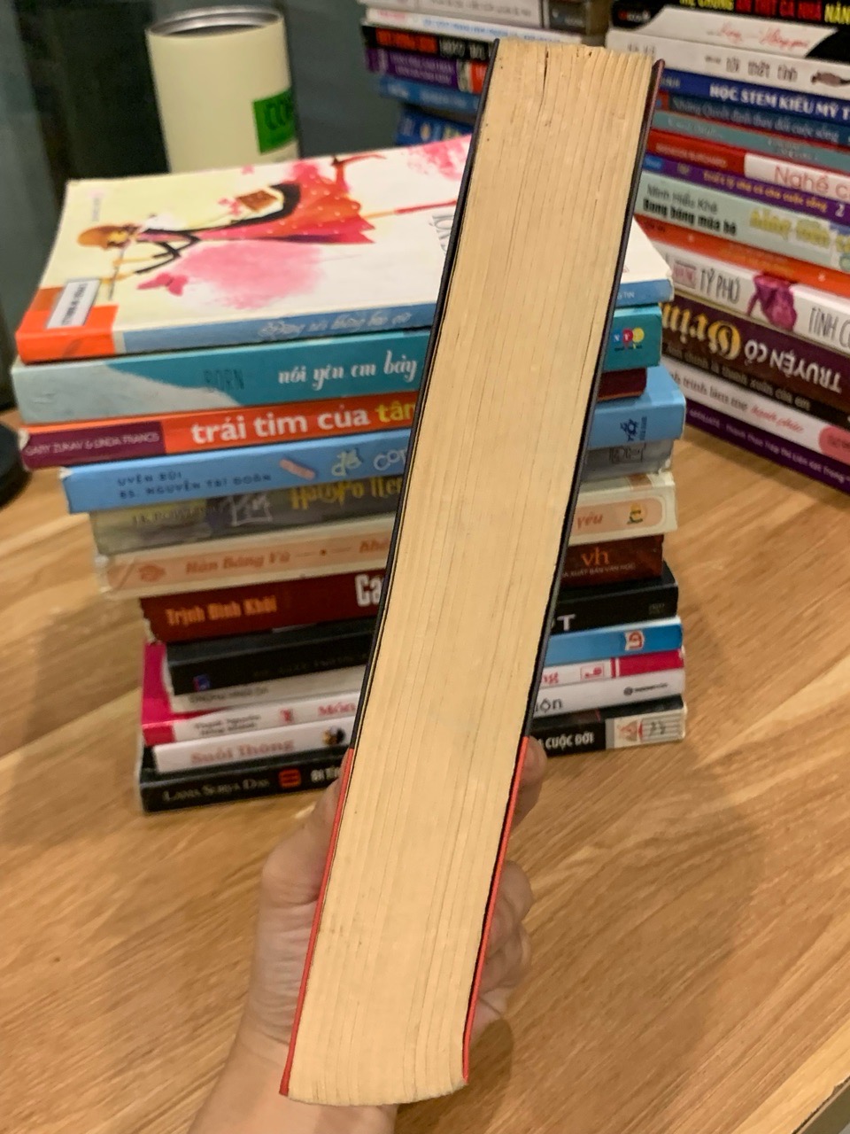 Quan Hệ Nguy Hiểm – Khiêu Dược Hỏa Diễm