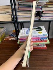 Rèn kĩ năng giải Toán lớp 9 (Tập 2) – Nguyễn Đức Tấn, Đỗ Quang Thanh, Bùi Anh Trang - ảnh 3