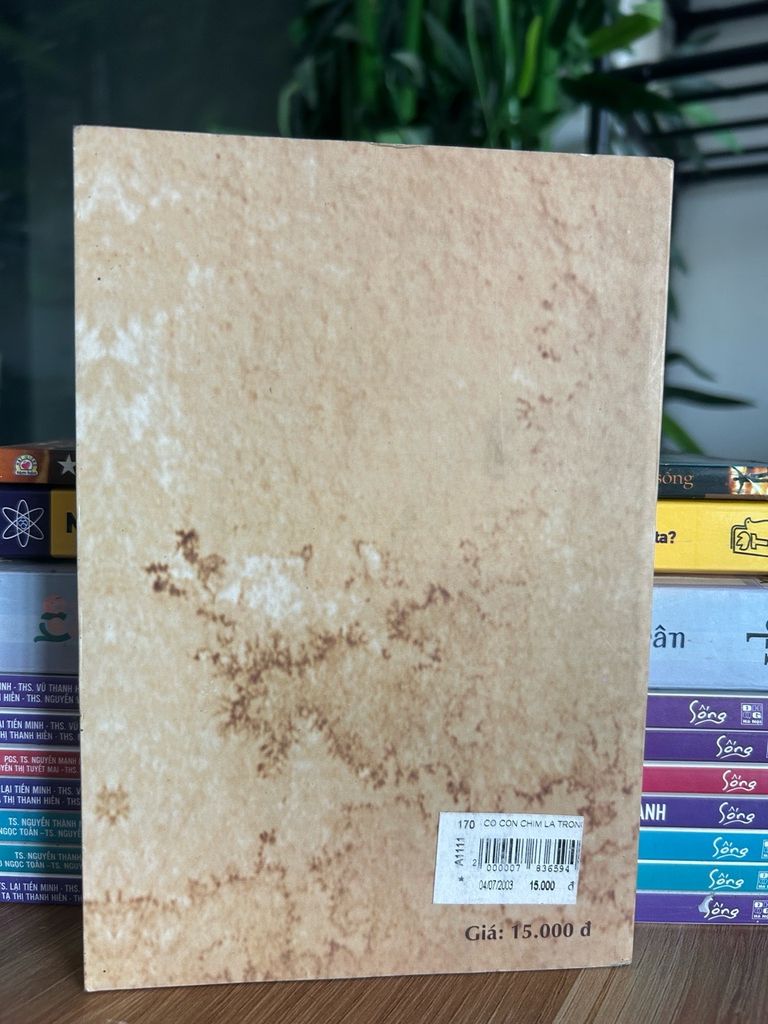 Có con chim lạ trong thành phố - Tiến Đạt - Ảnh thực tế 5