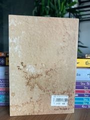 Có con chim lạ trong thành phố - Tiến Đạt - ảnh 5