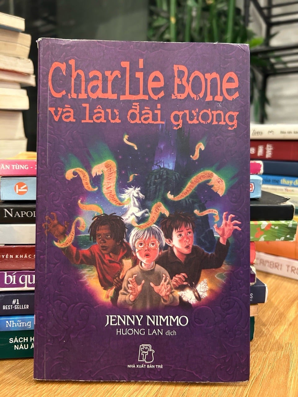 Charlie Bone và lâu đài gương – Jenny Nimmo (Hương Lan dịch)
