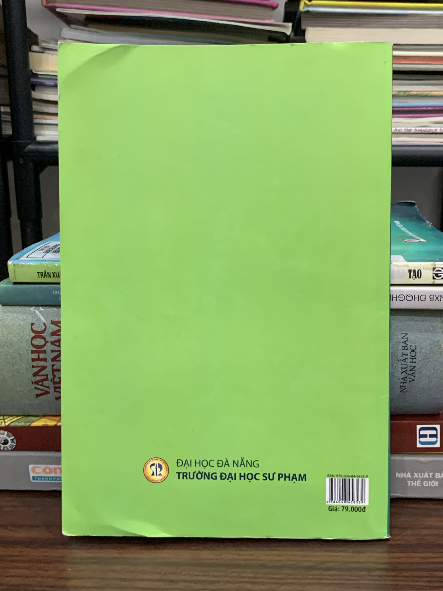 Hình ảnh 2