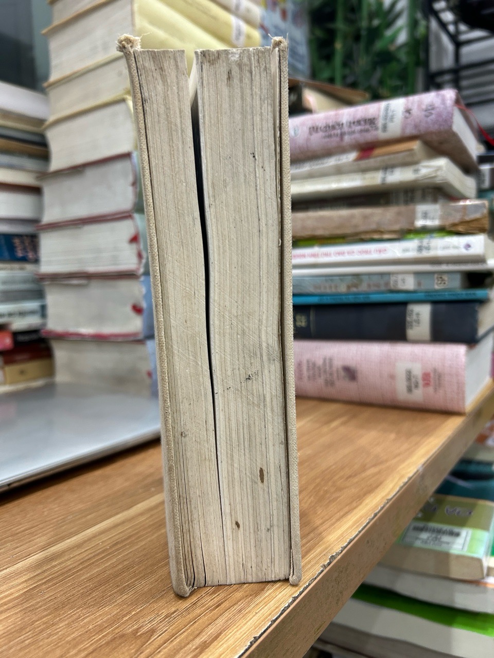 Sự Nghiệp Cả Cuộc Đời: Hồi Ký Quân Sự Của Nguyên Soái A. M. Vasilevsky