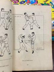 72 thế Thiếu Lâm chiến đấu – Võ sư Từ Thiện, Hồ Tường - ảnh 3