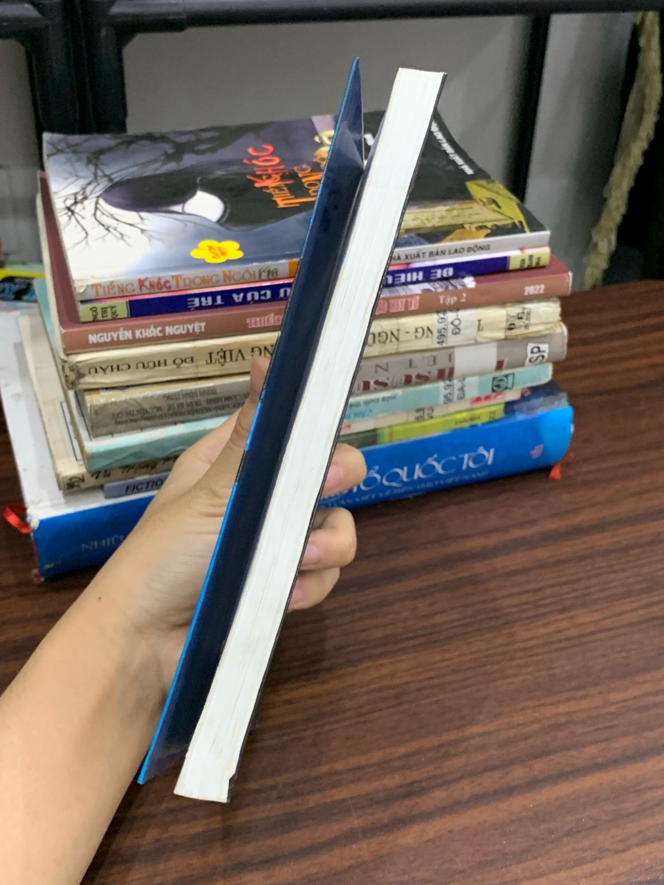 Chúa tàu Kim Quy – Hồ Biểu Chánh