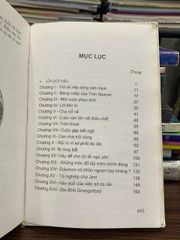 Những cuộc phiêu lưu của Huck Finn – Mark Twain - ảnh 5