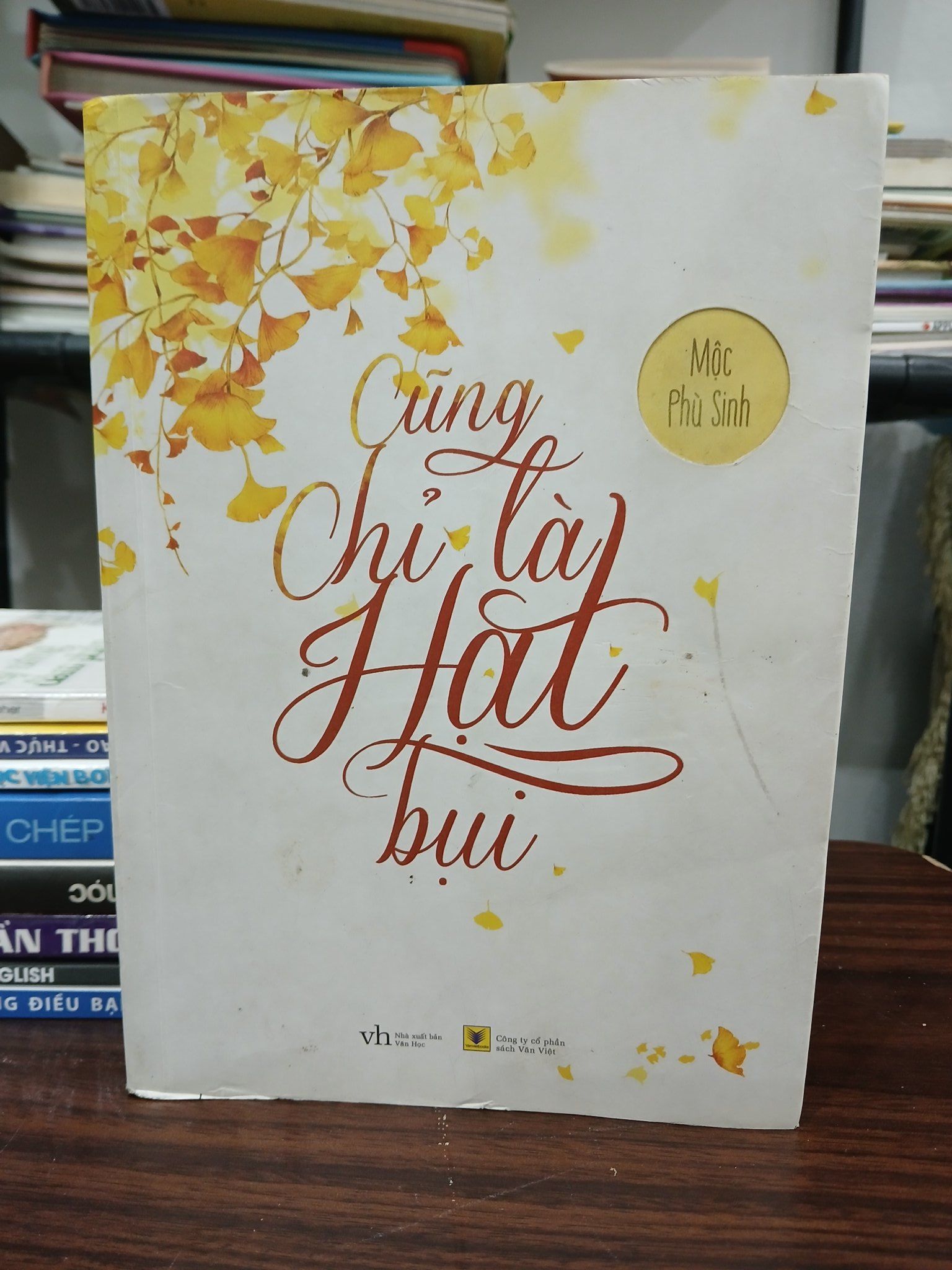 Cũng chỉ là hạt bụi – Mộc Phù Sinh