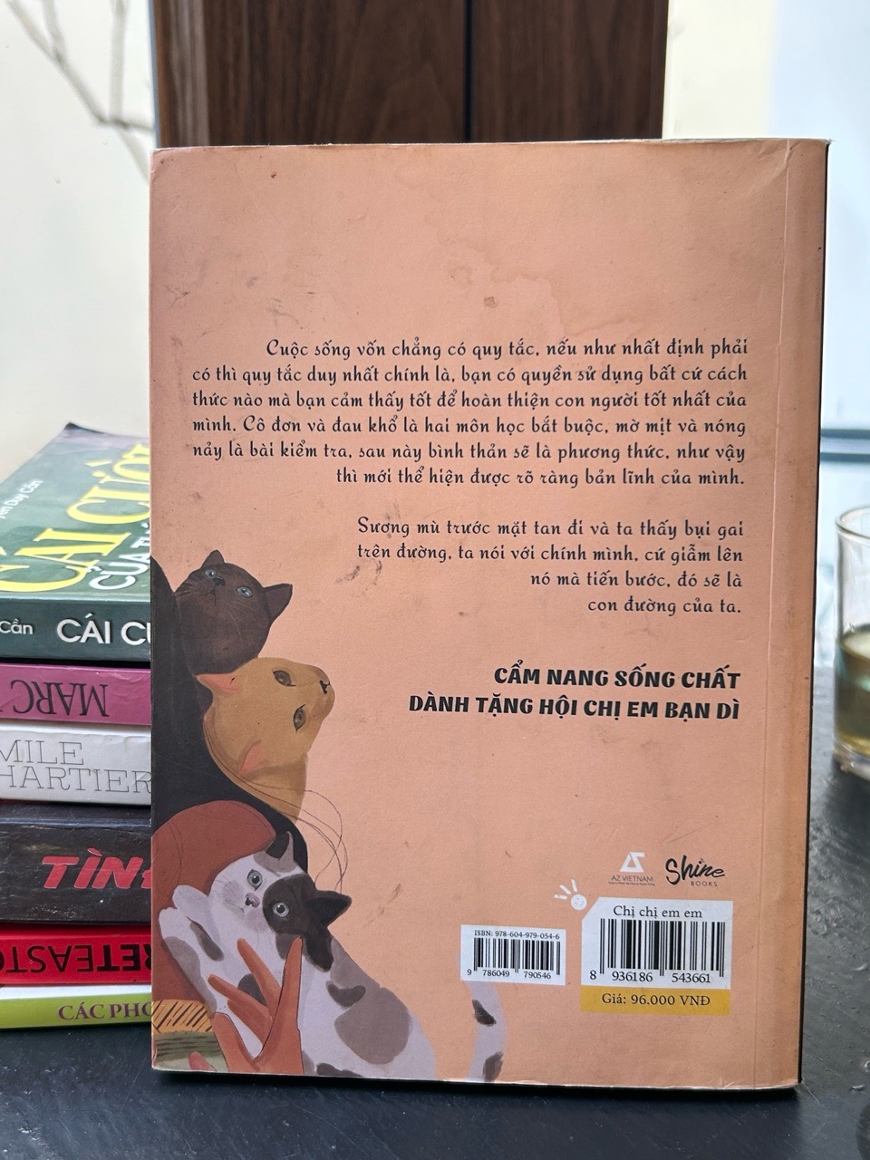 Chị, chị, em em – Ngải Minh Nhã