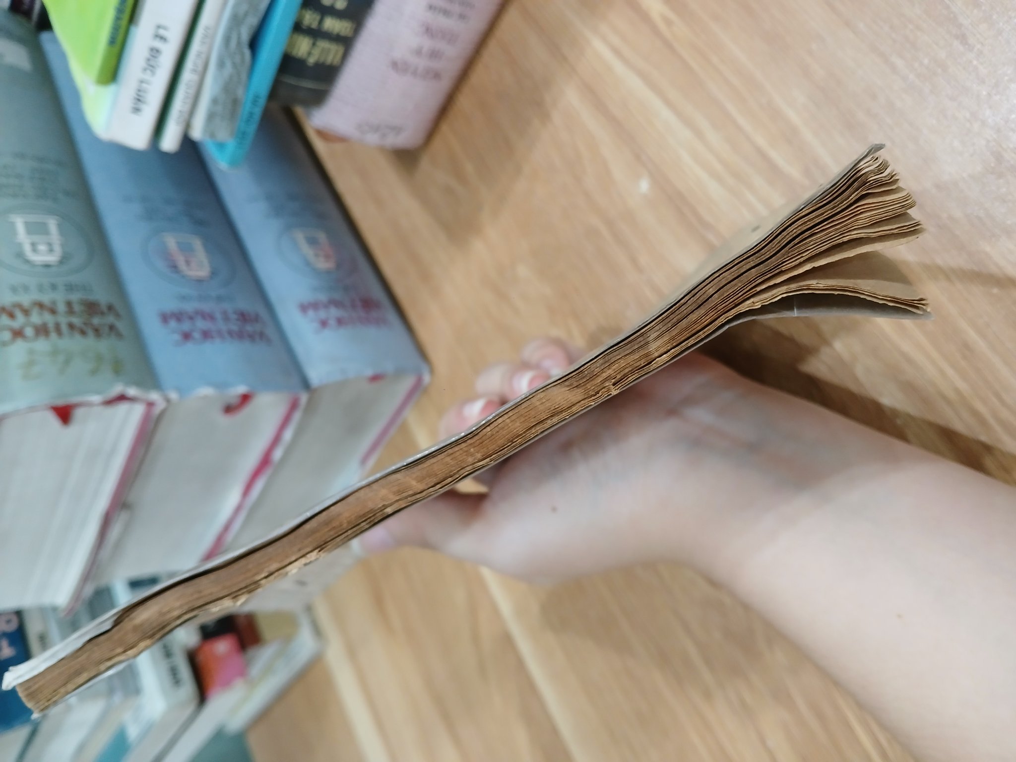 Khảo sát cho xây dựng – Nguyên tắc cơ bản (TCXD 78–79) – Bộ Xây Dựng