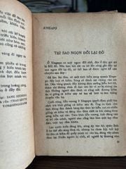 Truyện dân gian Châu Á - ảnh 5