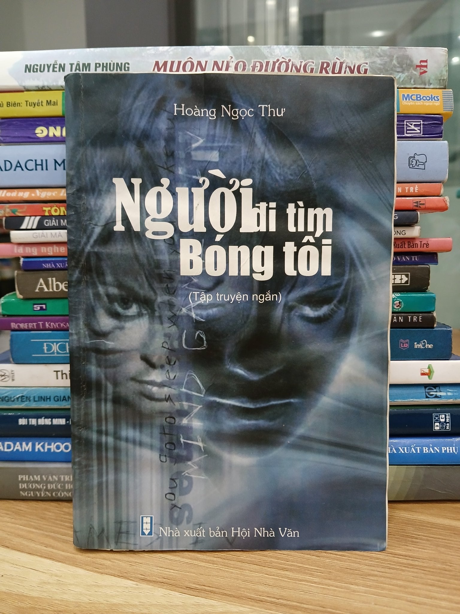 Người đi tìm bóng tối – Hoàng Ngọc Thư