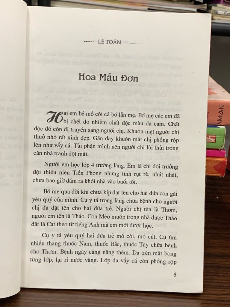 Hoa mẫu đơn- Lê Toán - Ảnh thực tế 4