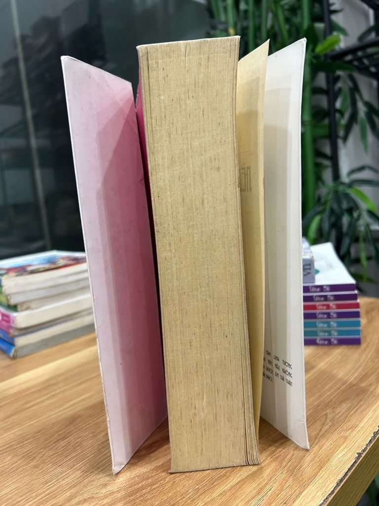 Nếu ốc sên có tình yêu – Đinh Mặc - Ảnh thực tế 3