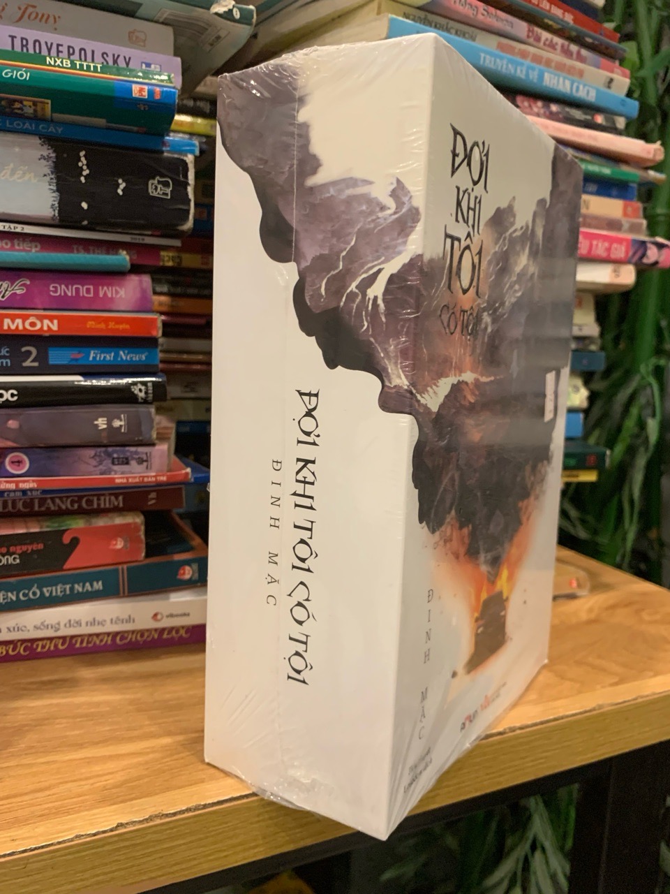 Đợi khi tôi có tội -Đinh Mặc