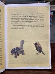 Cậu bé thực hiện ước mơ bằng sự tập trung và kiên trì- Charles Darwin - ảnh 4