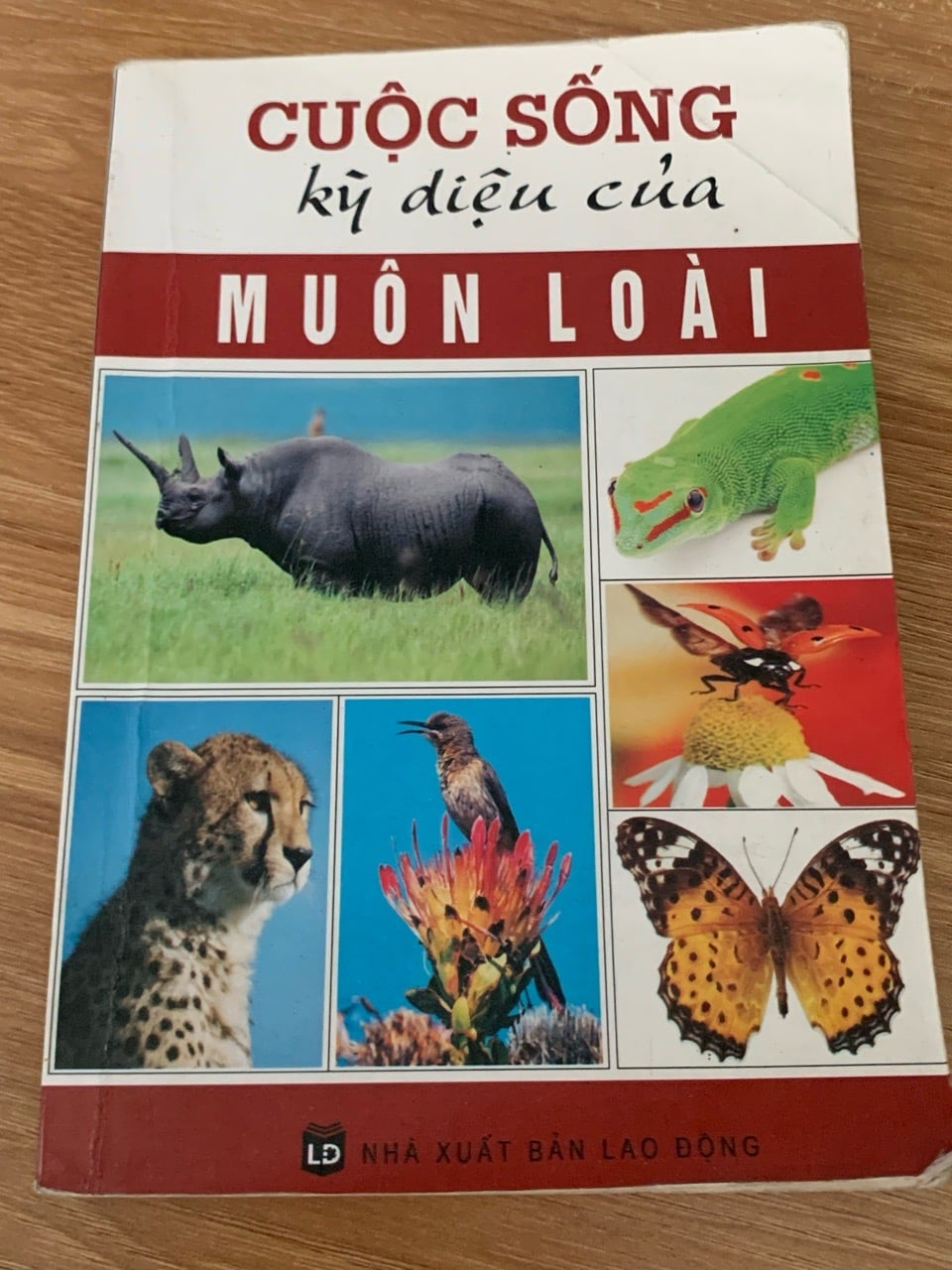 Cuộc sống kỳ diệu của muôn loài – (NXB Lao Động)