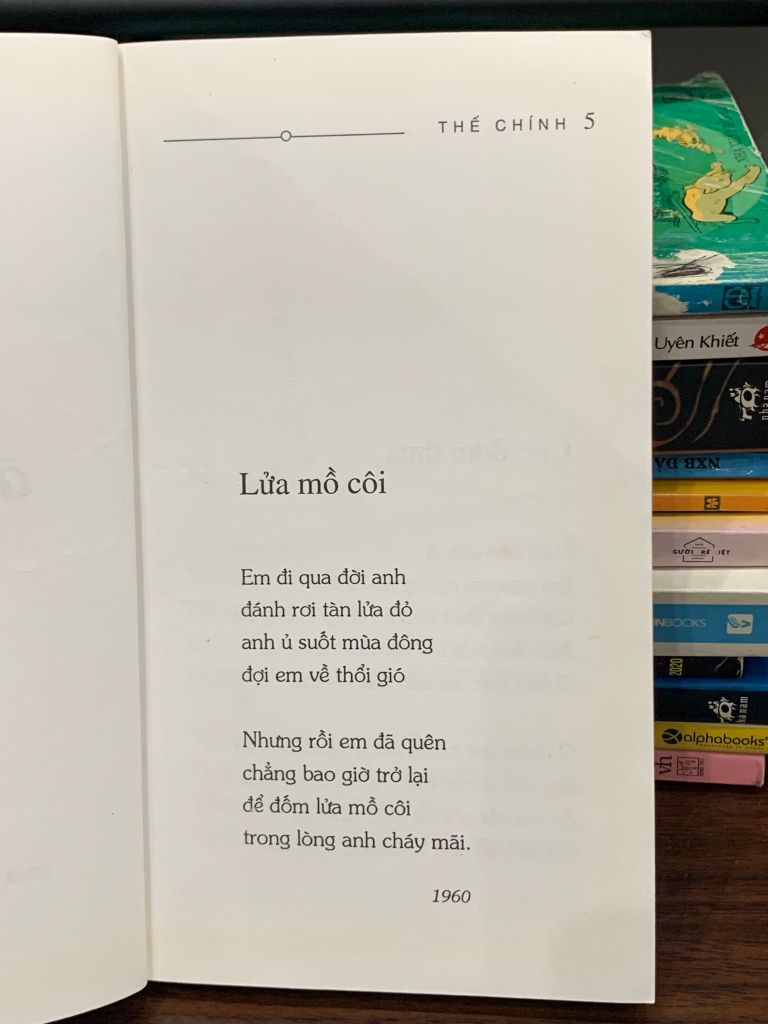 Cúc dại đơm thưa (Thơ tình) - Thế Chính - Ảnh thực tế 4