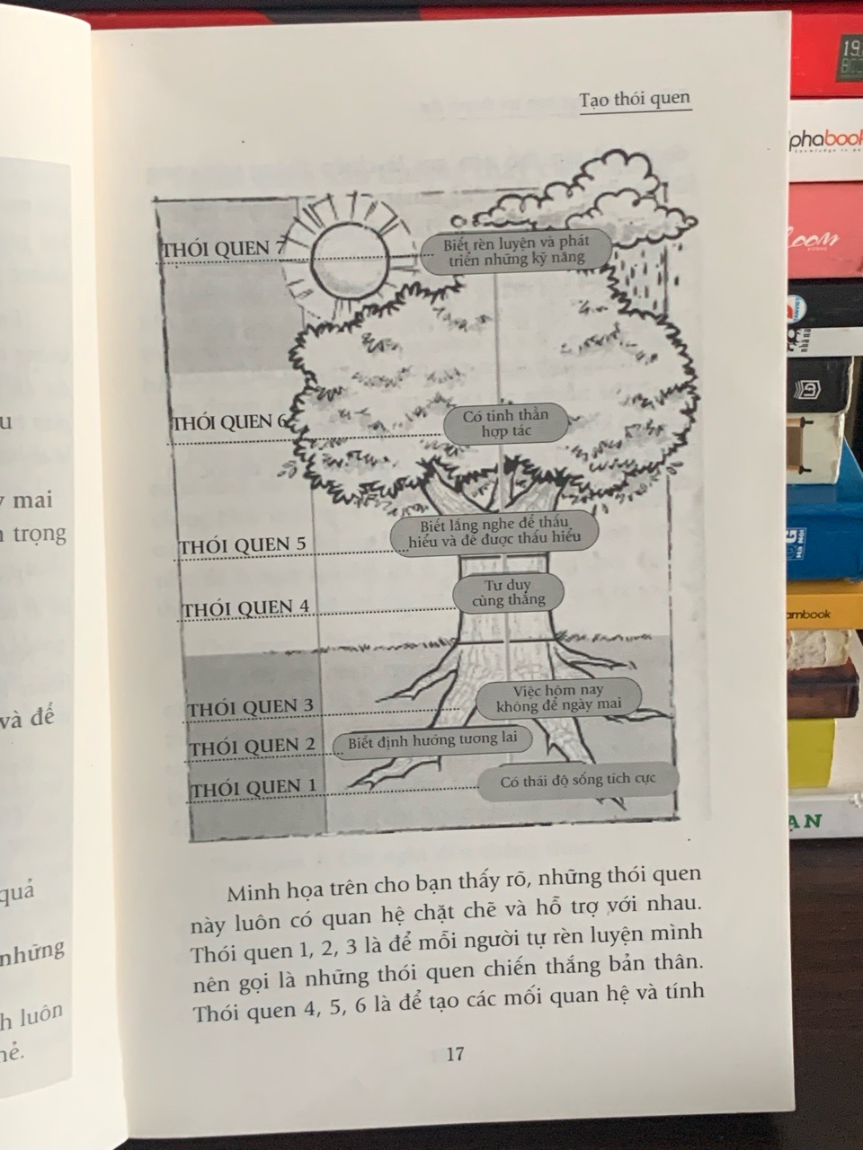 7 thói quen của bạn trẻ thành đạt – Sean Covey