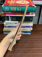 Cây cảnh – Cây thuốc trong nhà trường — Nguyễn Hữu Đảng - ảnh 3