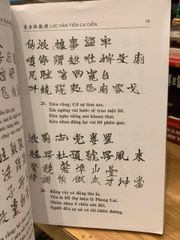 Lục Vân tiên ca diễn -Nguyễn Đình Chiểu - ảnh 4