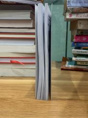 Tài liệu bồi dưỡng nghiệp vụ Thanh tra chương trình thanh tra viên ,quyển 4 -NXB Lao động- xã hội - ảnh 4