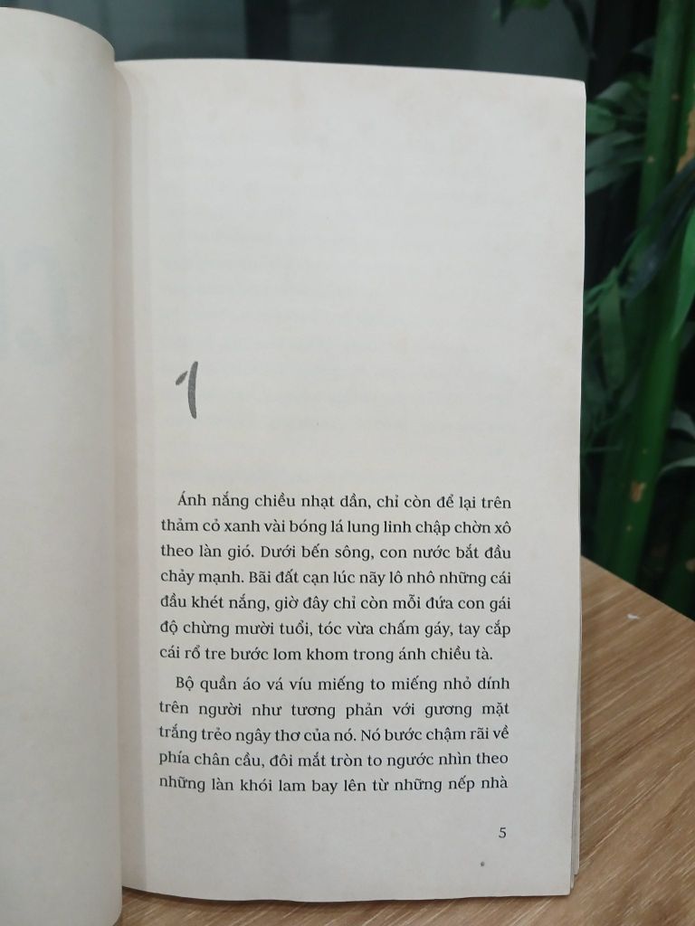 Cỏ dại – Hồng Thủy - Ảnh thực tế 5