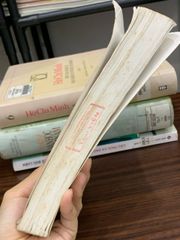 Lịch sử văn học Việt Nam – Tập III – Nguyễn Đăng Mạnh (chủ biên) - ảnh 3