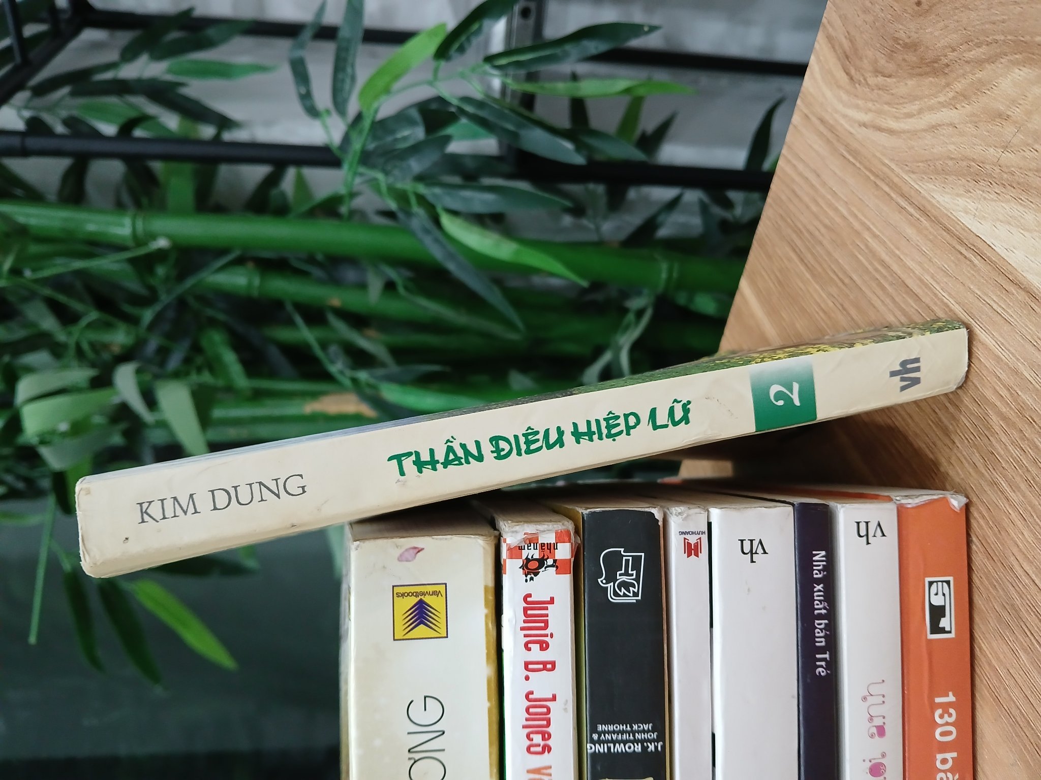 Thần Điêu Hiệp Lữ (Tập 2) – Kim Dung