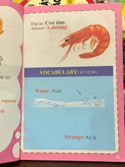 Đố vui song ngữ Việt – Anh – Bích Ngọc (sưu tầm, biên soạn) - ảnh 3