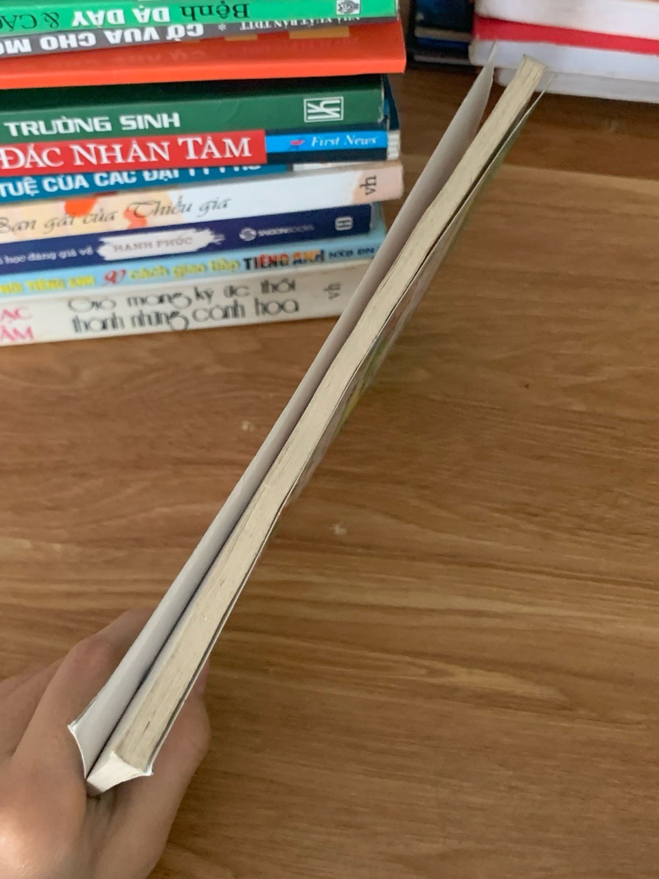 Kỹ thuật nuôi gà – Hoàng Tiến Lợi