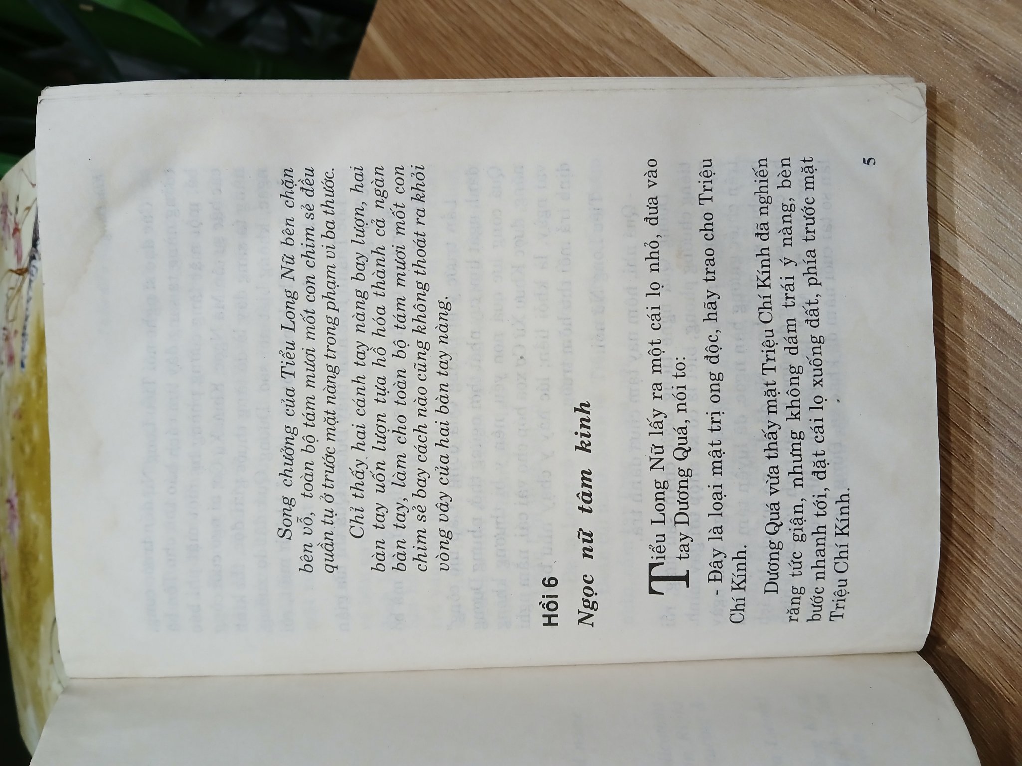 Thần Điêu Hiệp Lữ (Tập 2) – Kim Dung