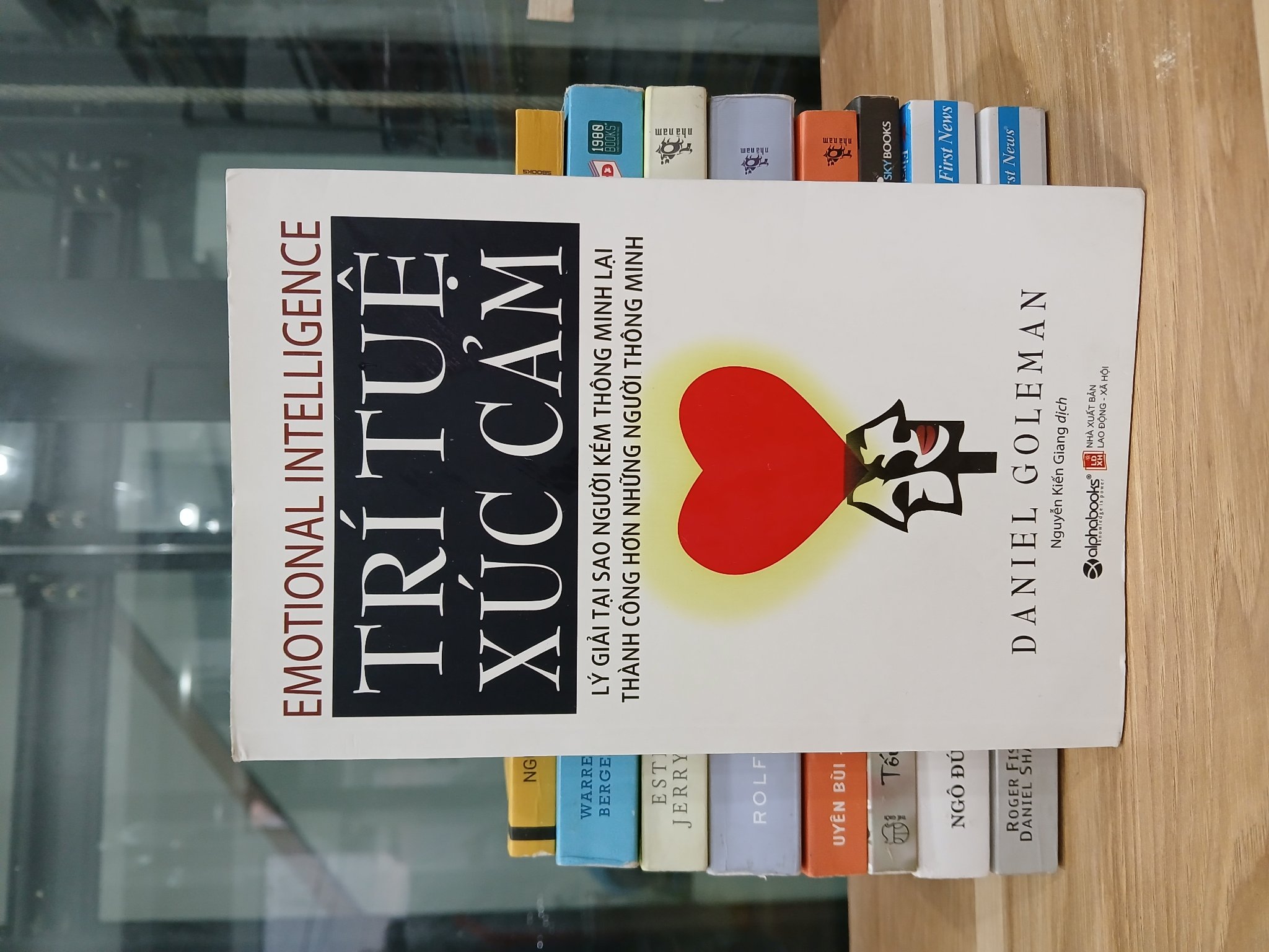 Trí tuệ xúc cảm (Emotional Intelligence) – Daniel Goleman