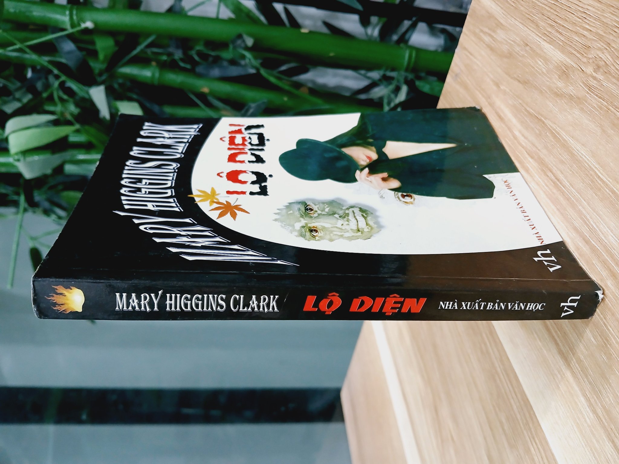 Lộ Diện- Mary Higgins clark