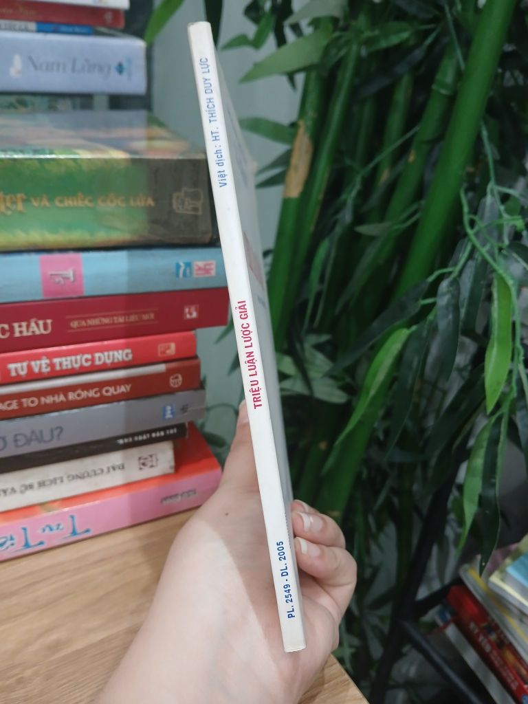 Triệu Luận Lược Giải - dịch HT.Thích Duy Lực - Ảnh thực tế 3
