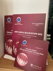 JOINT ANNUAL HEALTH REVIEW 2013 Towards universal health coverage - ảnh 2