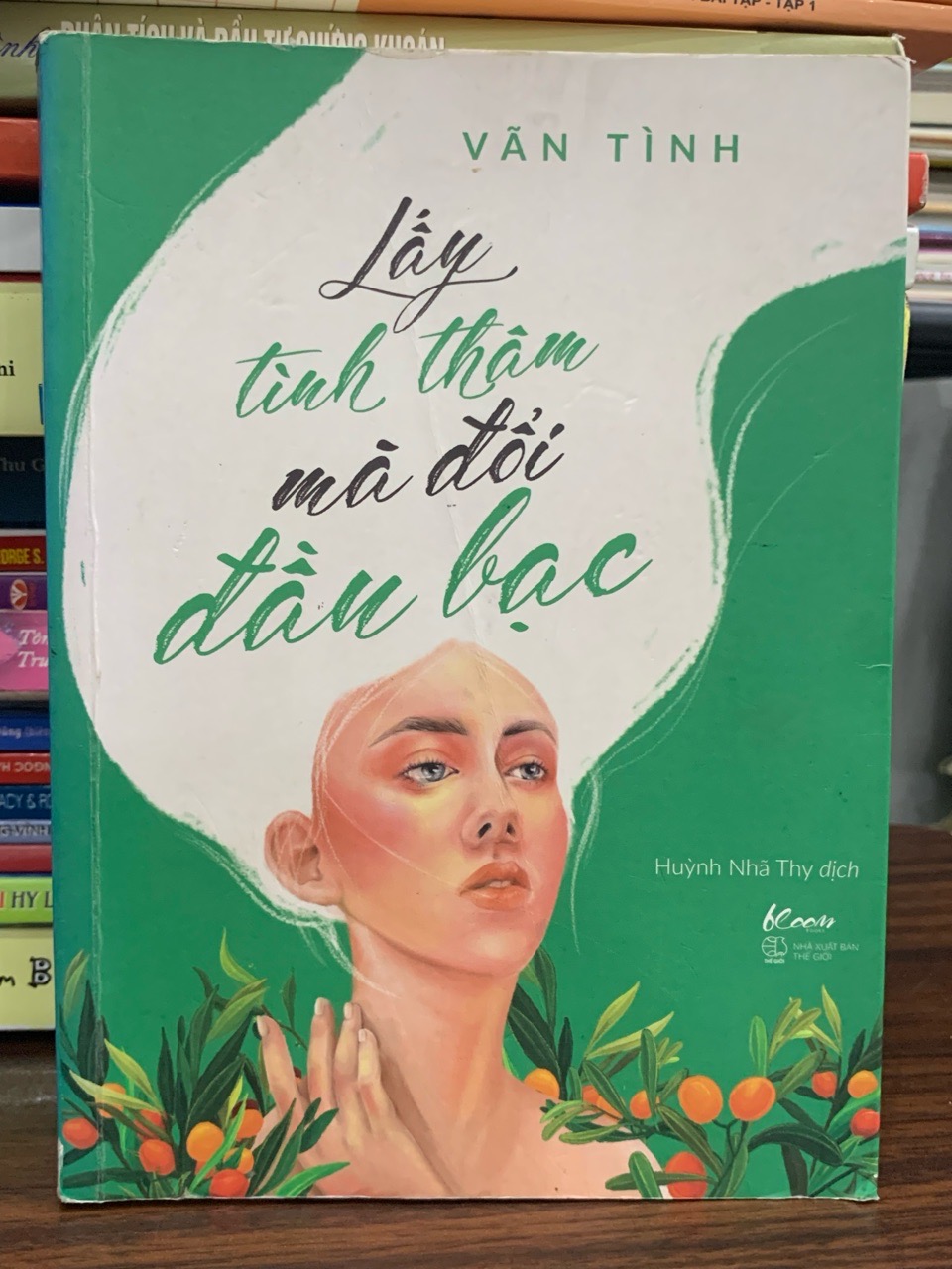 Lấy tình thâm mà đổi đầu bạc- Vãn Tình