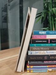 Cô gái năm ấy chúng ta cùng theo đuổi – Cửu Bả Đao - ảnh 3