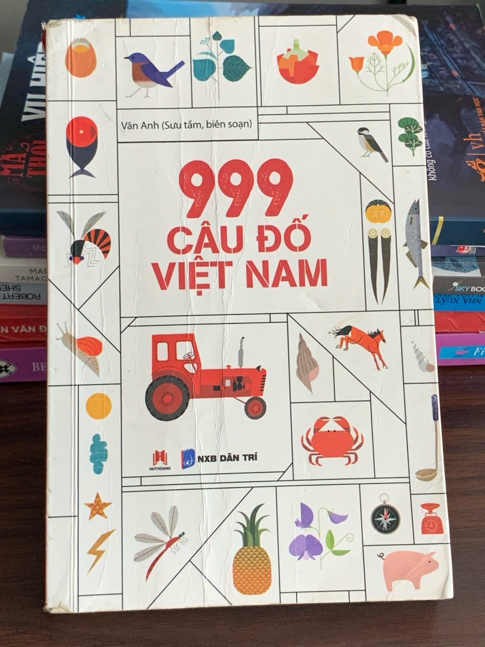 999 câu đố Việt Nam – Văn Anh (sưu tầm, biên soạn)