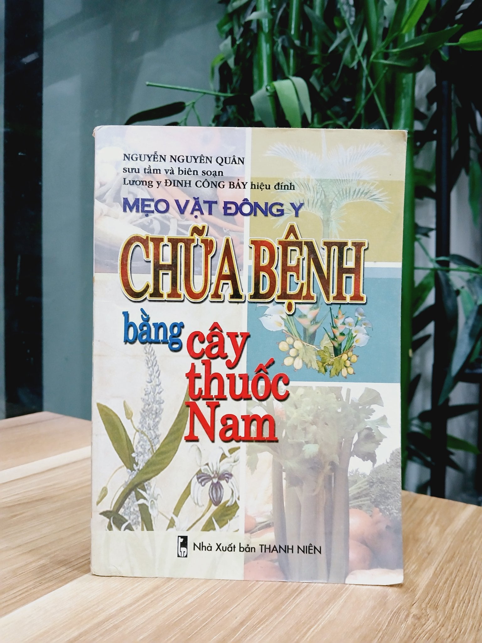 Chữa bệnh bằng cây thuốc Nam- Nguyễn Nguyên Quân