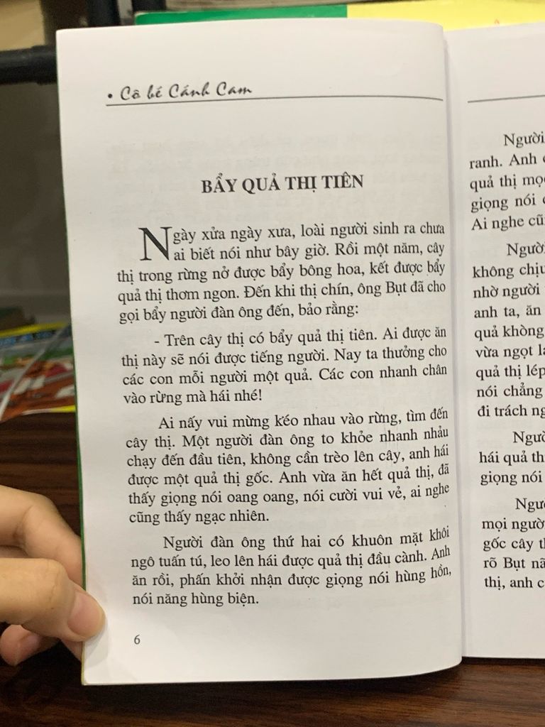 Cô bé cánh cam- Đỗ Anh Mỹ - Ảnh thực tế 5